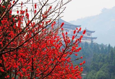 安陆白兆山风景区