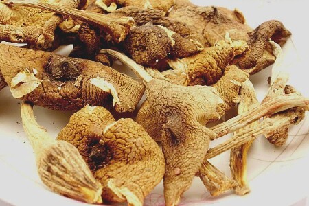 food_picture