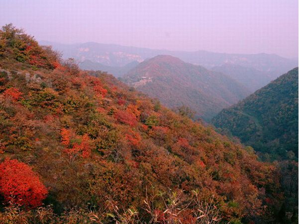 【巩义杨树沟门票价格】巩义杨树沟门票团购,预订_途牛