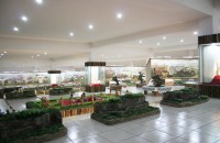 参观蒙古历史文化博物馆