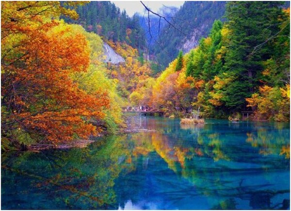 【不用】<成都九寨沟4日自助游>上海成都九寨国航4飞，入住天堂洲际，含用车，赠自由行礼包