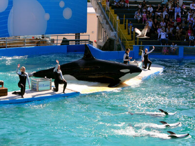 【2018】迈阿密海湾公园旅游攻略_迈阿密海湾