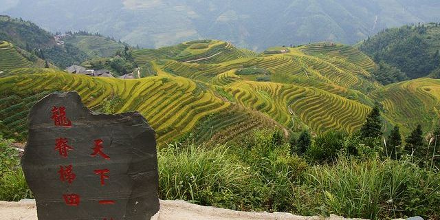 【龙脊梯田图片】龙胜各族自治县风景图片_旅游景点照片_途牛