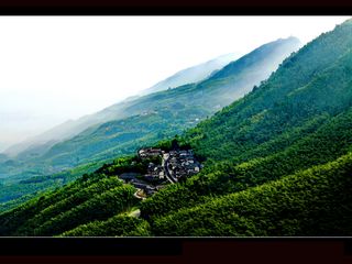  永川茶山休闲避暑竹海1日游>国家森林公园,茶山竹海旅游区