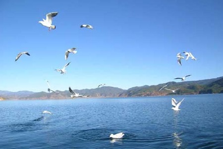 <兰州-西宁-塔尔寺-青海湖-茶卡盐湖-贵德国家地质公园-阿什贡七彩丹霞6日游>全程一车一导    0自费   赠送一晚精选酒店
