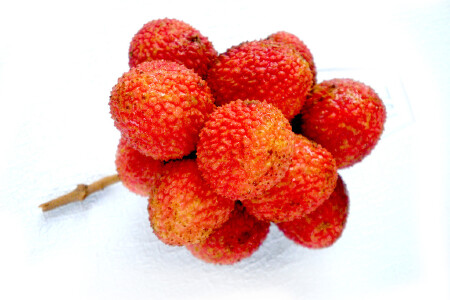 food_picture