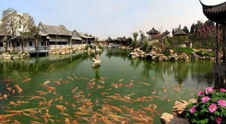 【邓州市图片】邓州市风景图片_旅游景点照片_途牛