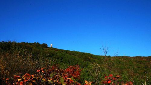 北京昌平蟒山森林公园自驾2日游>宿北京虎峪园林山庄标准间1晚,赠