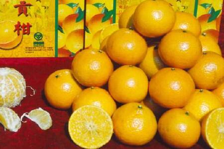 food_picture