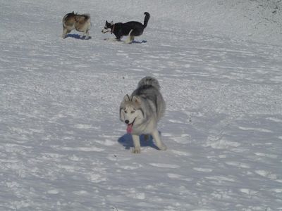 【南山滑雪场门票价格_2012北京南山滑雪场门