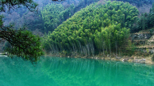 <白水涧挖笋+浙西大峡谷2日游