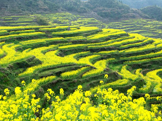 婺源篁岭景区