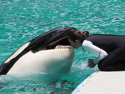 【2018】迈阿密水族馆旅游攻略_迈阿密水族馆