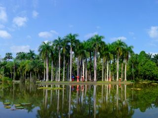 西双版纳人口_西双版纳风景图片