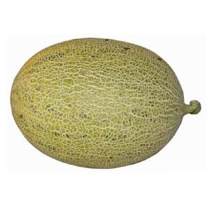 【哈密瓜】价格_专卖店_哪里买