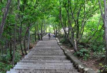 平顶山 要上平顶山走山道比石阶路有趣的多,两侧郁郁葱葱高清图片