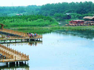 泰州溱湖湿地公园