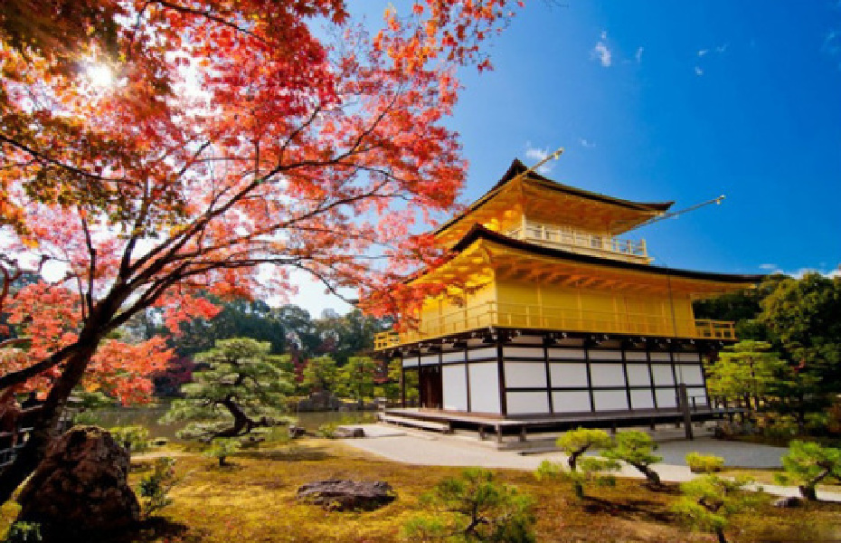 【2016】10月去仙台哪儿最好玩_仙台旅游景点大全_仙台旅游景点推荐