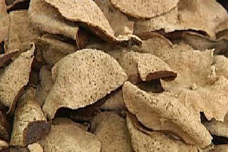 food_picture