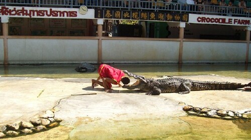 泰国-曼谷-芭提雅机票+当地6日游 合肥往返直飞