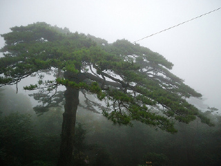 黃山旅游團(tuán)_去黃山游怎么省錢_到黃山旅游多少錢