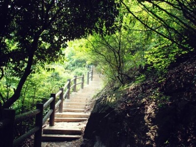 苏州大阳山国家森林公园旅游攻略