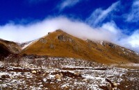 徒步达古冰川原始森林