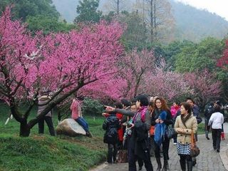 超山风景区