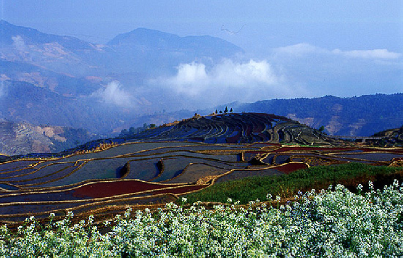 双柏县旅游(图)_2