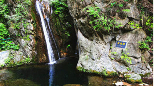 栾川红豆杉景区