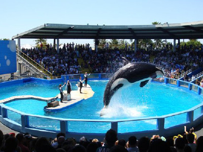 【2018】迈阿密水族馆旅游攻略_迈阿密水族馆