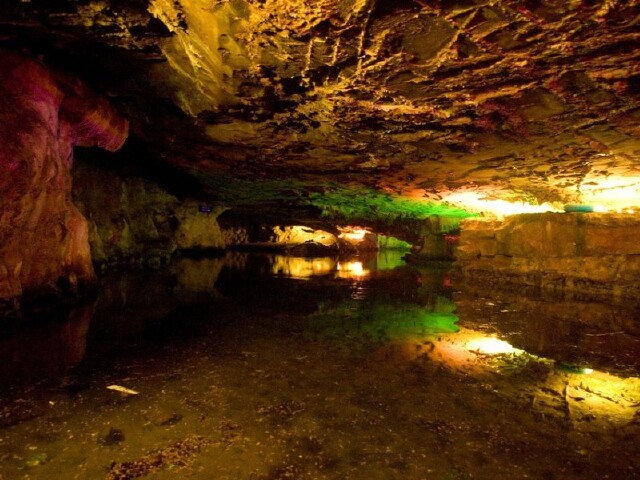 http:\/\/www.tuniu.com\/tour\/210505486