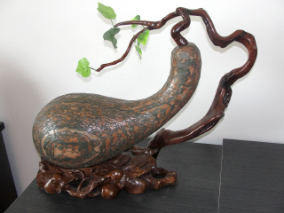 廈門(mén)自由行還是跟團(tuán)好_廈門(mén)游特價(jià)團(tuán)_廈門(mén)八月份旅游