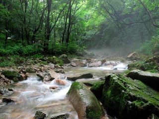 本溪汤沟绿石谷森林公园1日游>绿色踏青