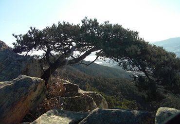 卧龙山旅游区