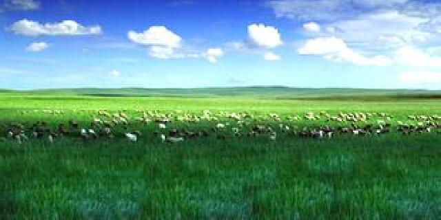【乌拉特草原图片】乌拉特前旗风景图片_旅游景点照片