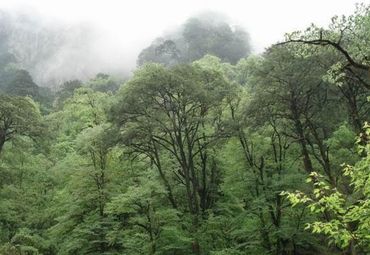 灵鹫山大雪峰图片