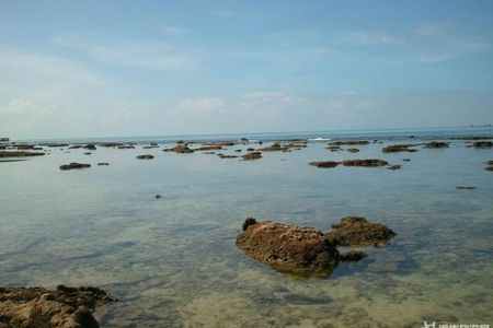 三亚海鲜池_三亚海鲜市场_海鲜美食图片(2)