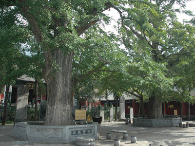 四川合江常住人口_常住人口登记卡