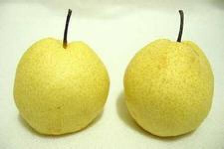 food_picture