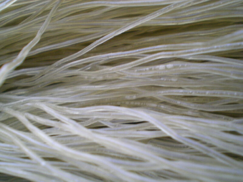 【禹州粉条】价格_专卖店_哪里买