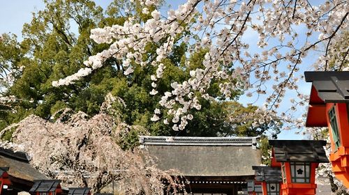 日本东京 箱根 名古屋 京都 大阪6日游 广州南航直飞 森林公园天空大丽花祭 1晚日式温泉酒店 日式bbq 出发 途牛