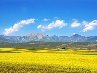 新疆烏魯木齊九月旅游_新疆烏魯木齊旅游價(jià)格多少_新疆烏魯木齊2人旅游需要多少錢(qián)