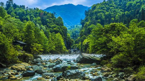  石台牯牛降2日游>天然氧吧