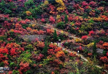 竹林长寿山景区图片