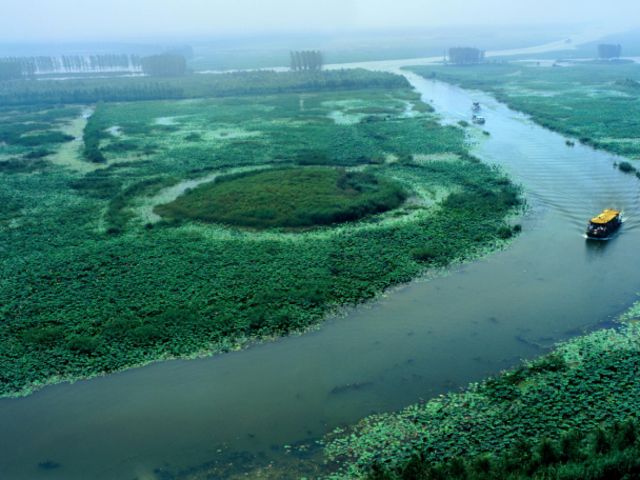 [五一] 台儿庄古城-大战馆-微山湖湿地2日游>住古城内