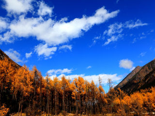 四川峨眉山報團旅游多少錢_現(xiàn)在去四川峨眉山旅游多少錢_四川峨眉山旅游一次多少錢