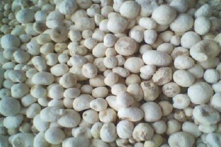 food_picture