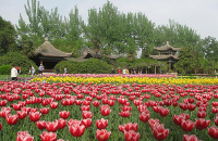 市内公园