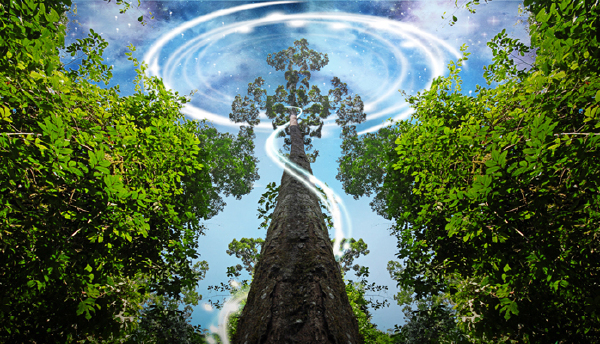 <西双版纳金地大酒店5日自助游>泰式商务酒店，近酒吧街